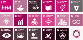 SDGs